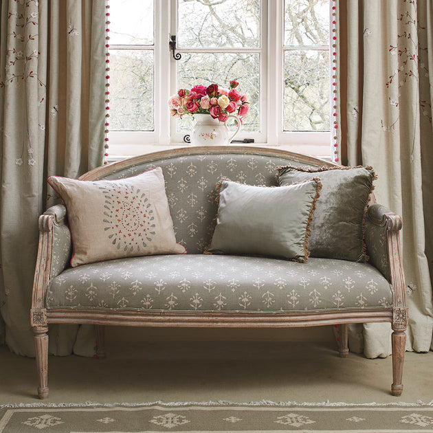 Smokey Blue Moonflower