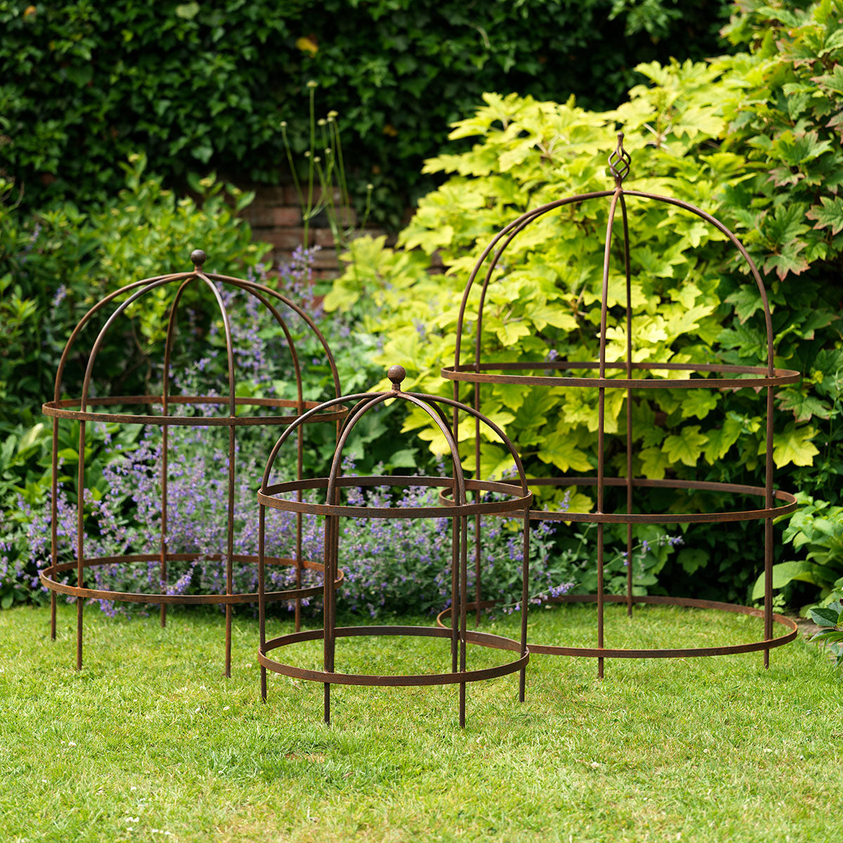 Wrought Iron Lobster Pot Plant Support  Susie Watson Designs