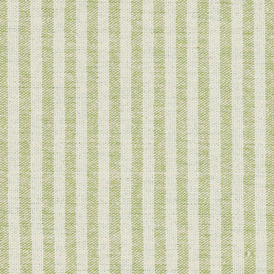 Green Ivory Stripe Cotton – Double Width – 227
