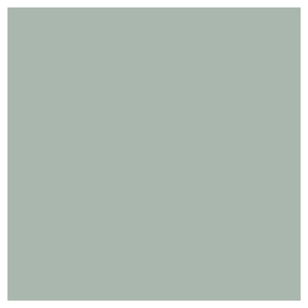 Pigeon Paint