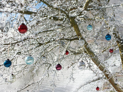 Christmas is coming
