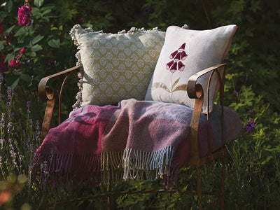 Shedding light on Violet