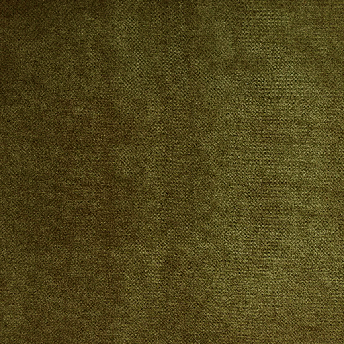 Olive Green Cotton Velvet - 003