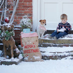 Christmas Dog Sack