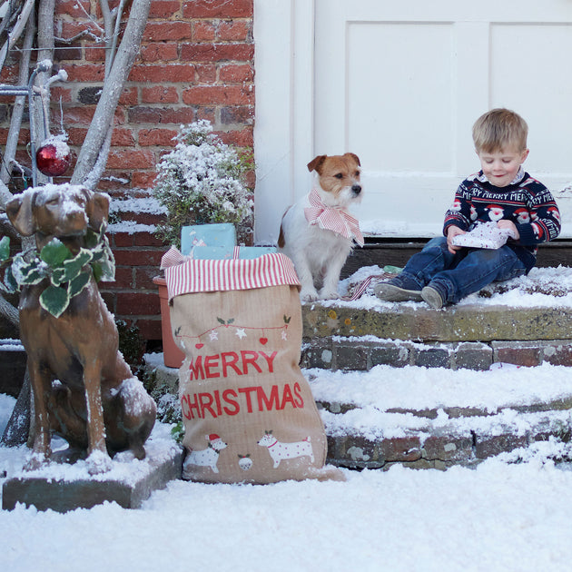 Christmas Dog Sack