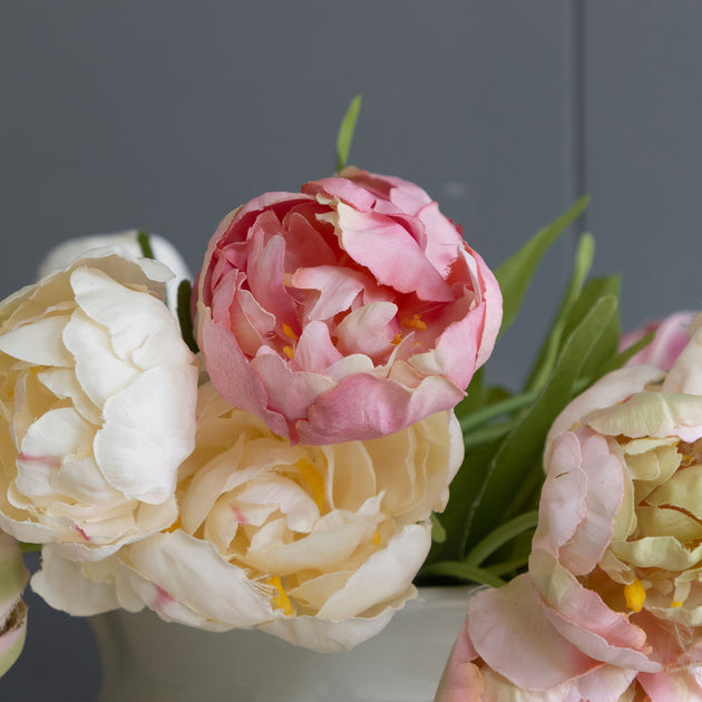 Angelique Tulip Bunch x 12