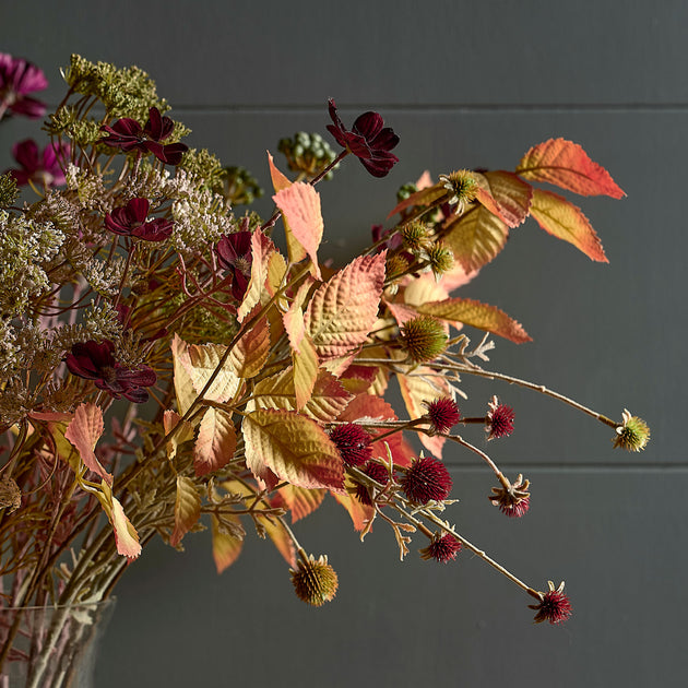 Autumn Extravaganza FB13