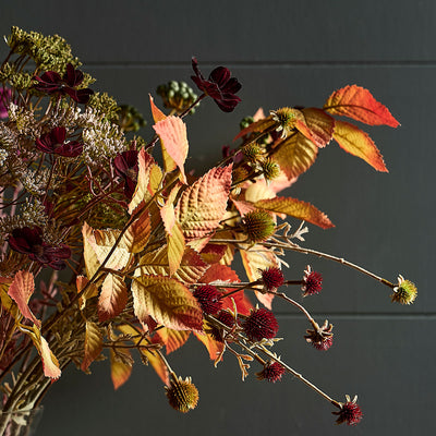 Autumn Extravaganza