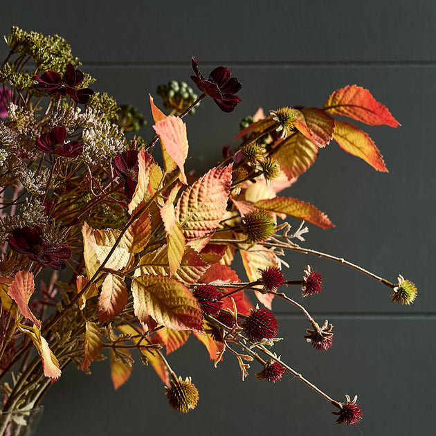 Autumn Extravaganza FB13