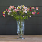 Large Protea Bunch - FB35