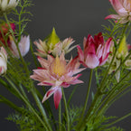 Large Protea Bunch - FB35