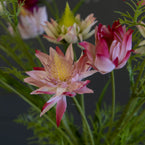 Large Protea Bunch - FB35