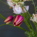 Large Protea Bunch - FB35
