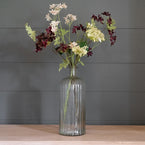 Pelargoniums & Hydrangeas  FB38