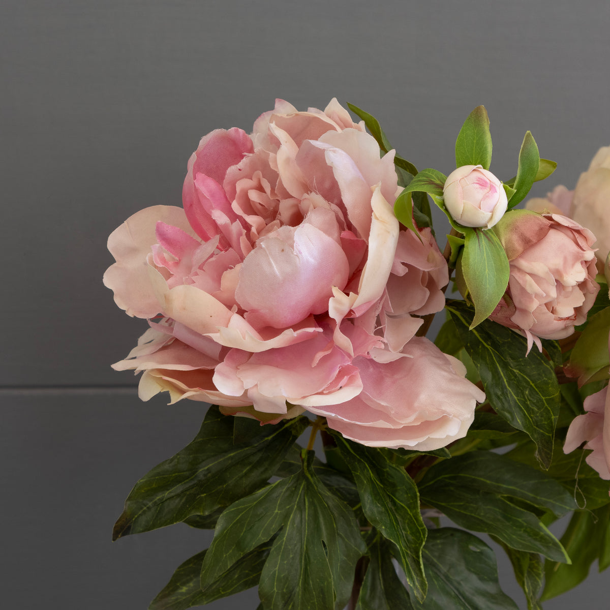 Tree Peonies Bunch FB33