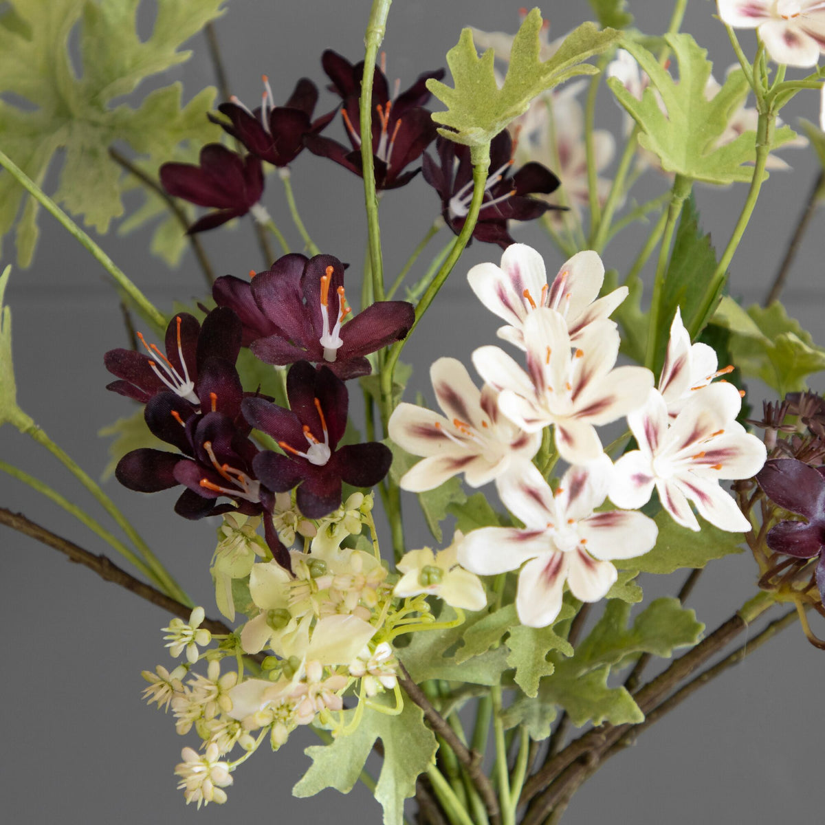 Pelargoniums &amp; Hydrangeas  FB38