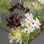 Pelargoniums & Hydrangeas  FB38