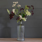 Pelargoniums & Hydrangeas  FB38