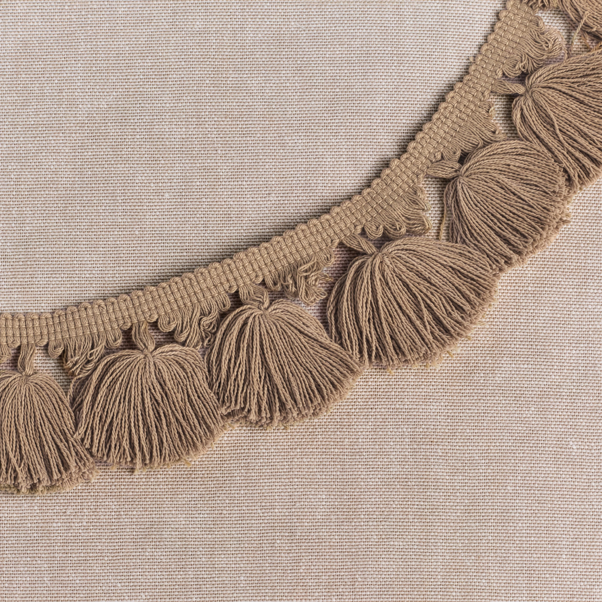 Plain Beech Tassels
