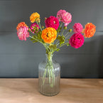 Large Bunch of Mixed Ranunculus Bunch - SALE