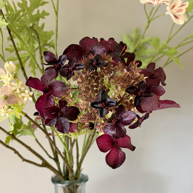 Pelargoniums & Hydrangeas  FB38