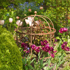 Wrought Iron Lobster Pot Plant Support