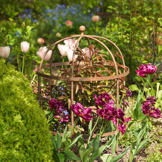 Wrought Iron Lobster Pot Plant Support