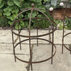 Wrought Iron Lobster Pot Plant Support