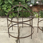 Wrought Iron Lobster Pot Plant Support