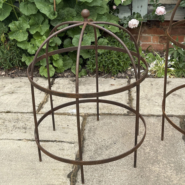 Wrought Iron Lobster Pot Plant Support