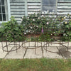 Wrought Iron Lobster Pot Plant Support