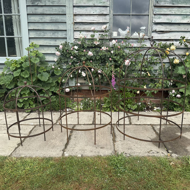 Wrought Iron Lobster Pot Plant Support