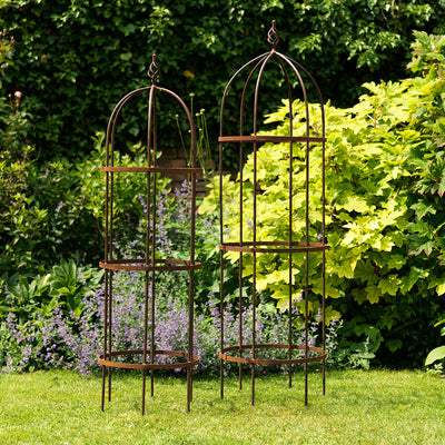 Wrought Iron Obelisk Plant Support