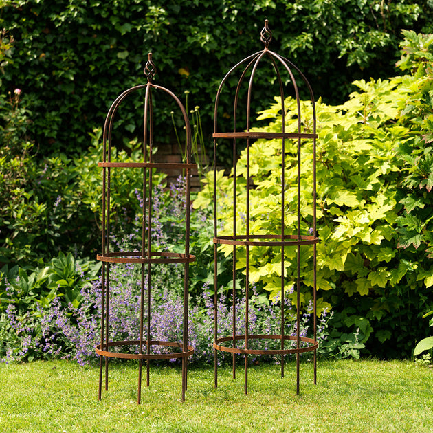 Wrought Iron Obelisk Plant Support