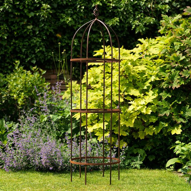Wrought Iron Obelisk Plant Support