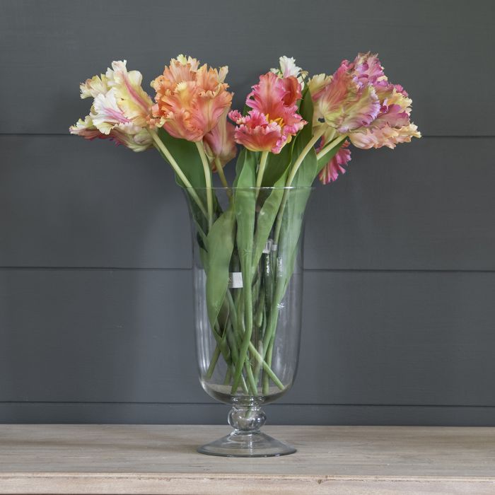 Parrot Tulip Bunch SALE