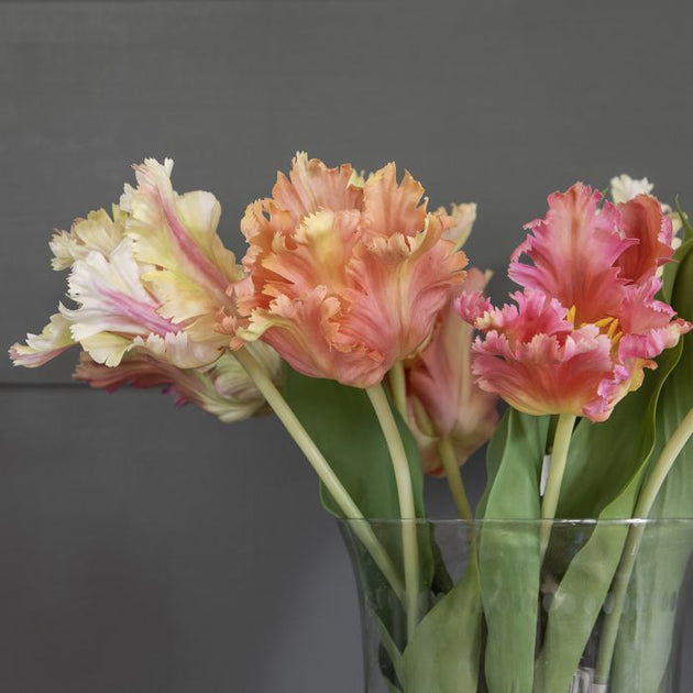 Parrot Tulip Bunch