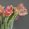 Parrot Tulip Bunch