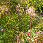 Wrought Iron Obelisk Plant Support