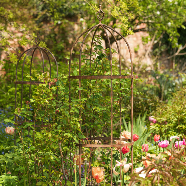 Wrought Iron Obelisk Plant Support