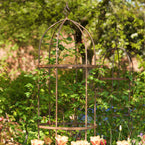 Wrought Iron Obelisk Plant Support