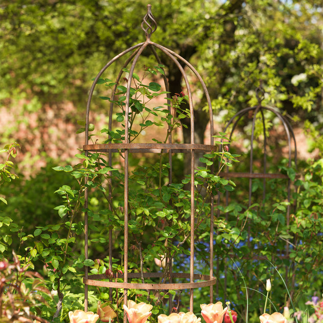 Wrought Iron Obelisk Plant Support