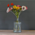 Poppies in a Jar FB60