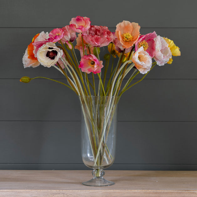 Poppy Extravaganza - FB39