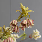 Spring Bunch of Blossom & Fritillaries - FB27