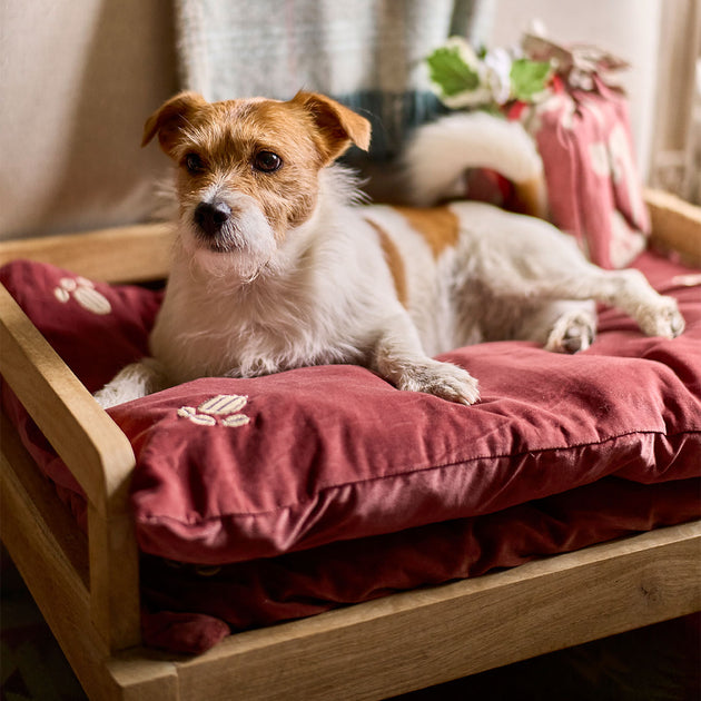 Small Dog Bed Mattress