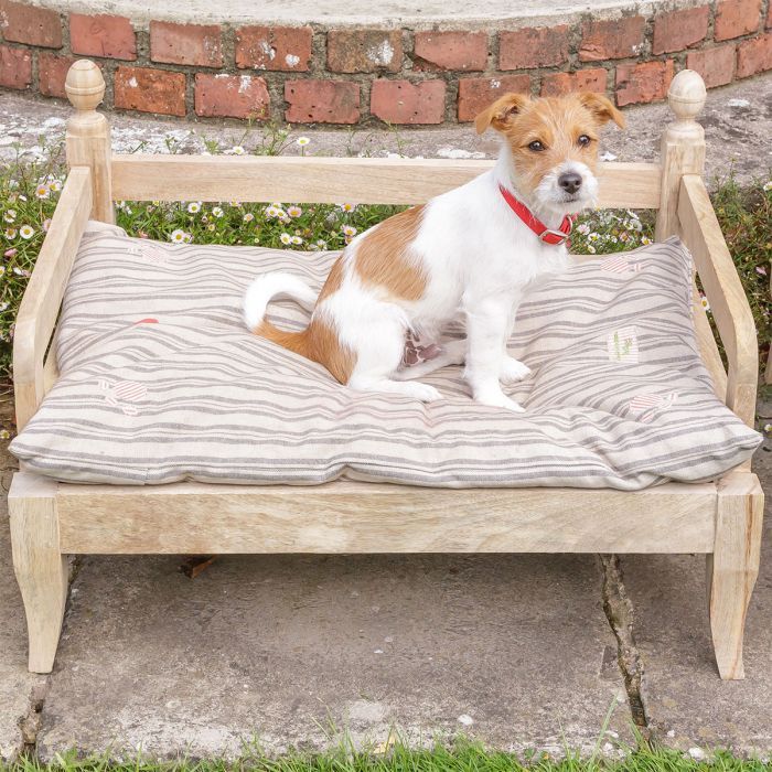 Jack Russell sitting on a striped mattress in a wooden dog bed