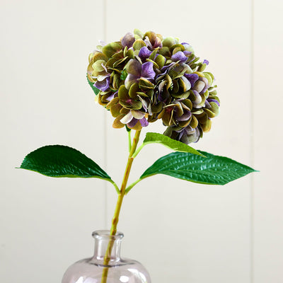 Green/Magenta Hydrangea - Single Stem