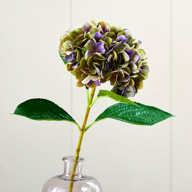 Green/Magenta Hydrangea - Single Stem
