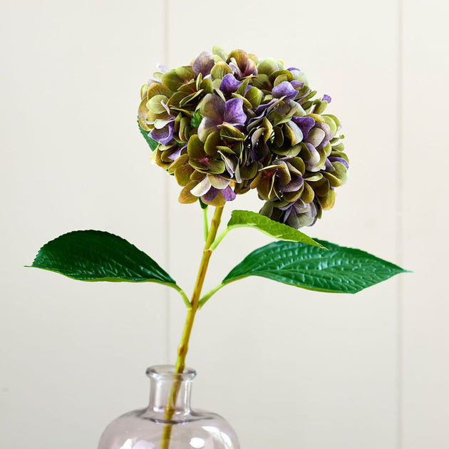 Green/Magenta Hydrangea - Single Stem